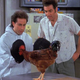 Seinfeld